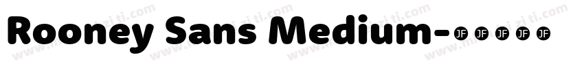 Rooney Sans Medium字体转换